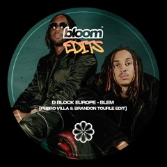 D Block Europe - Blem [Pedro Villa & Brandon Tourle Edit] (Free Download)