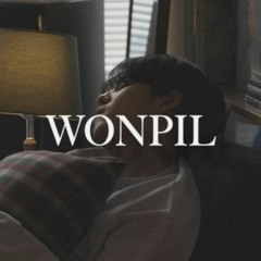 WONPIL - 여름밤의 꿈 (윤상 cover)