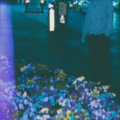 ditto (cxrter x spaceboy)