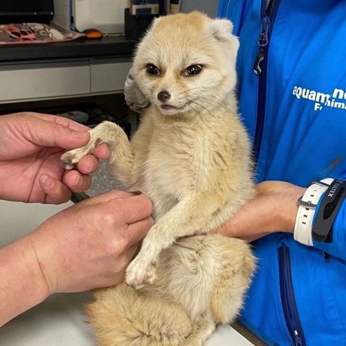 Stream strange color orange house vibes by facelessghost | Listen ...