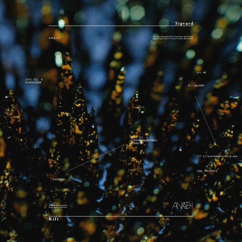 PREMIERE | Sigvard - Fathom (Original Mix)