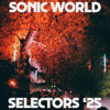 Ploy at Dekmantel Selectors 2025 DJ mix artwork - Electronic music tracklist cover image
