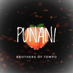 Brothers Of Tempo - Punani