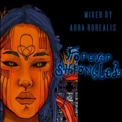 [Chill Space Mix Series 033] Aura Borealis - Forever Shpongled Mix