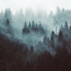 BRAIN NIBBLING - Acid Mental Vinyl Mix