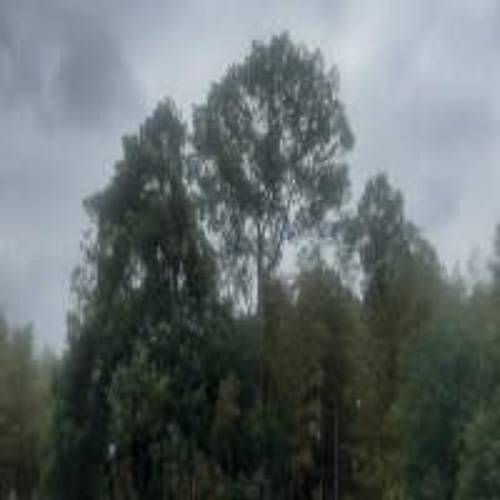 ‏a10