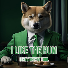 I Like The Hum (Dirty Thirty Tool) *FREE DOWNLOAD*