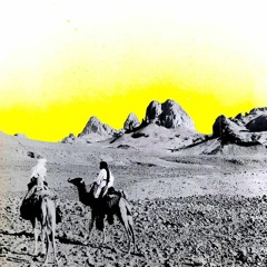 Balade en forêt @ Cuves de Fauve