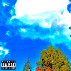 IJUSTREALLYLEVELEDUP (prod. level)