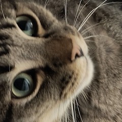 God is a women holySpiritg rmx