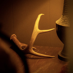 Live like your dying