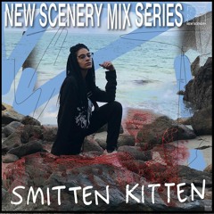 037 - NS MIX SERIES - SMITTEN KITTEN