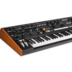 FM Bass Moog Muse