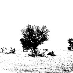 Ambience over Sumra (Sp Set)