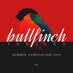 Bullfinch Summer 2023 Compilation (Mixed By Distorted Memories)
