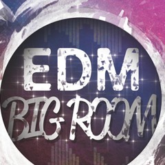 Big Room EDM [H.D.H #15]