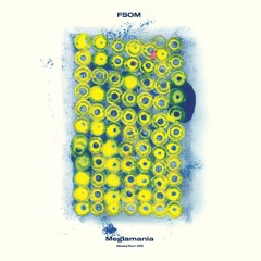 FSOM - Meglamania (Incl. Kornél Kovács Edit & BF Treatment Remix) (GLOSSYFLOOR 02)