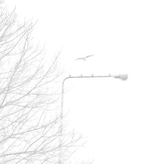 EVERYTHING REMINDS ME OF YOU