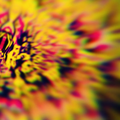 The Exclusive Beauty Of Diversity