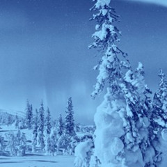 Quite Blistery (prod by Birocratic)