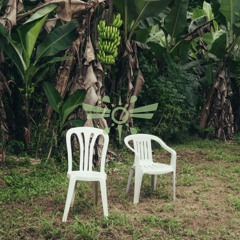 Bad Bunny - DtMF (Feelmonger Flip)