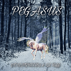 Pegasus - YOUNGREEB$ x Lil Riff
