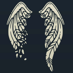 vibe369! - broken wings