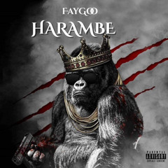 FayGoO x Harambe