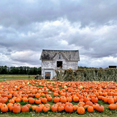 Frost on the Pumpkin