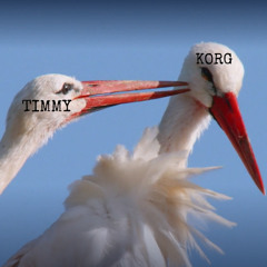 Timme Live  - AnWieSau