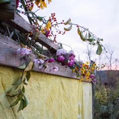 Sukkot 5781