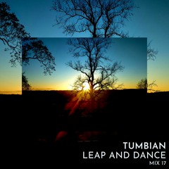 Leap & Dance Mix 17