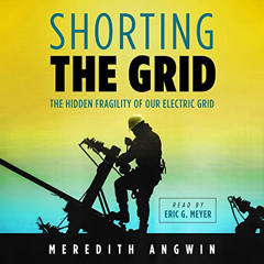 DOWNLOAD KINDLE 📝 Shorting the Grid: The Hidden Fragility of Our Electric Grid by  M
