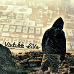 VINTEKK - Check this out!!!