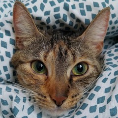 Robert Wawrzyniak 2R22W210