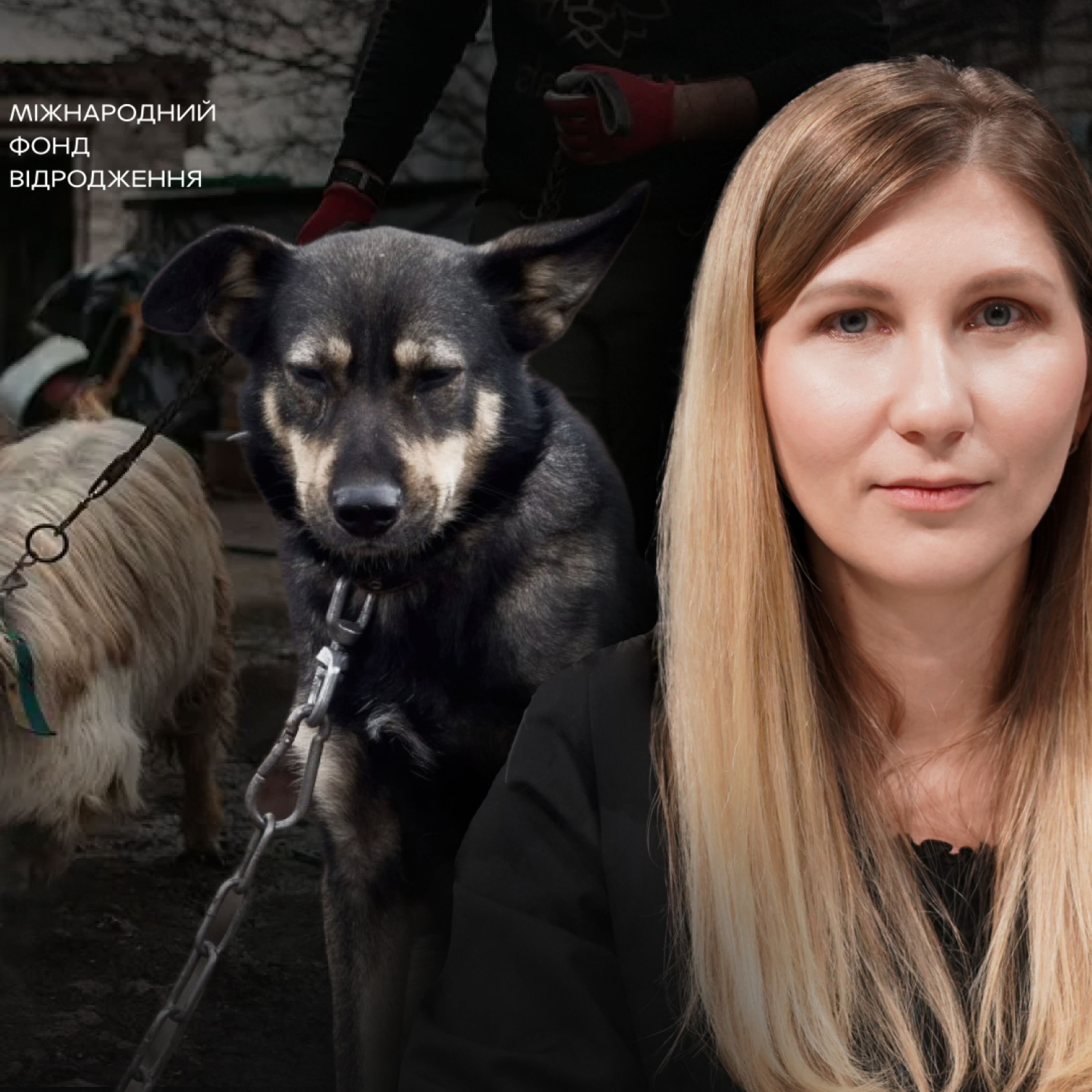 «Головне правило — не бути байдужими»: Ольга Мацько про захист тварин під час війни episode artwork