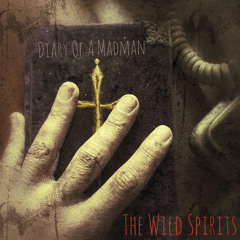 Diary Of A Madman (Ozzy Osbourne Cover)