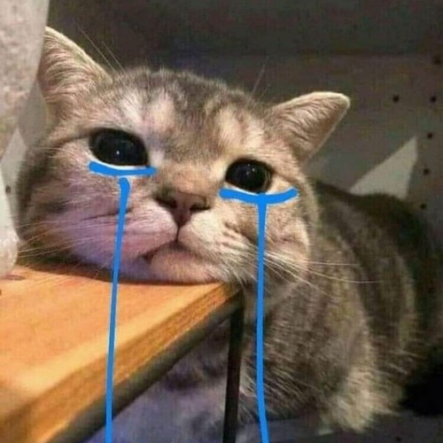 Văn Vở Của Em _quang like (lofi vison)