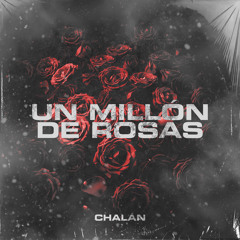 UN MILLÓN DE ROSAS