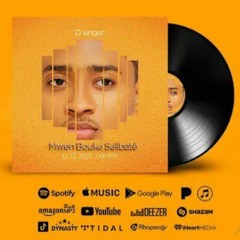 Lyrics Video - D-Singer - Mwen Bouke Selibatè.mp3