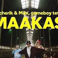 Clicherik & Mäx, gameboy tetris - Maakas
