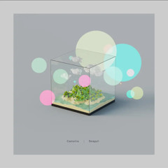 Camellia - Seagull (Stereo Version)