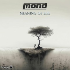 Mond - Meaning Of Life (​​SPIT354 - Spiral Trax)