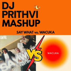 Keinemusik vs. Avaion - Say What vs. Wacuka (DJ Prithvi Mashup)