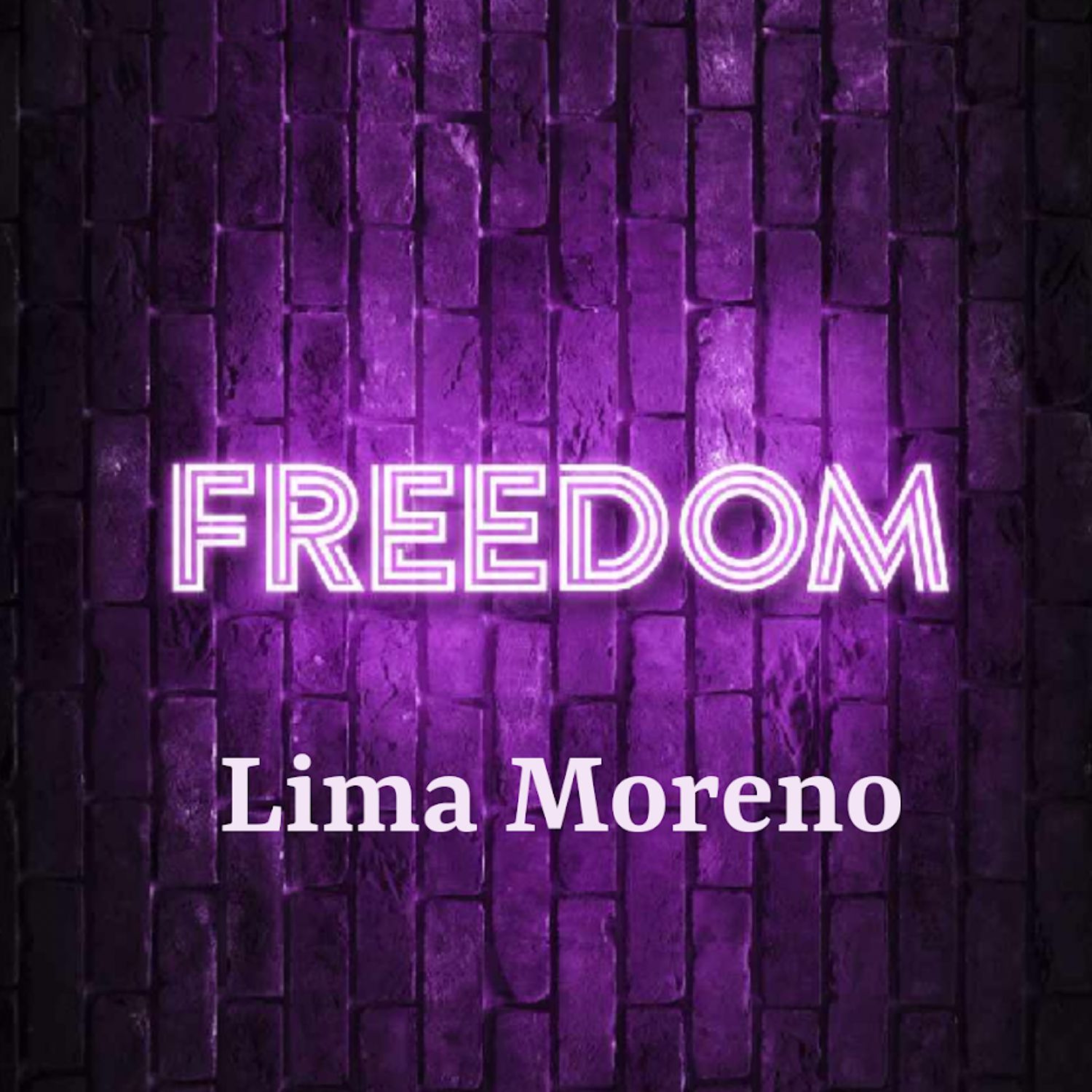 Track cover