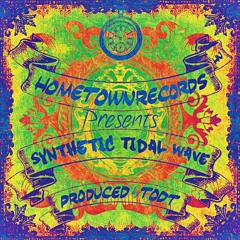 Synthetic Tidal Wave (prod. by TODT) (SynthWave/TechHouse)