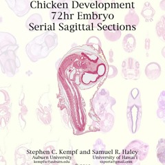 PDF Read Online 72hr Chicken Embryo Serial Sagittal Sections: Digital Lab Manual