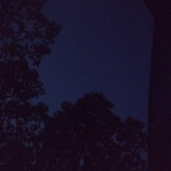 Woes in the trap - ADswisher