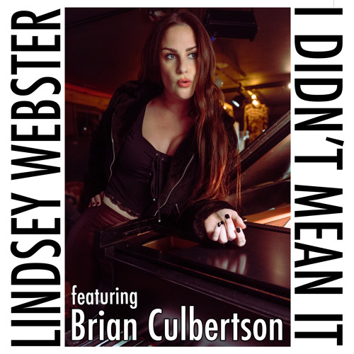 I DIDN'T MEAN IT (SINGLE)