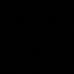 AMNESIA Out Sample ANALOG V